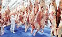 اجباری شدن استقرار ناظران بهداشتی در مبدا واردات گوشت